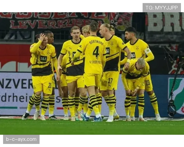 博尼法斯德甲冠军荣誉含金量解析 博尼法斯德甲冠军荣誉含金量解析