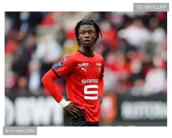 卡马文加技术全面性分析